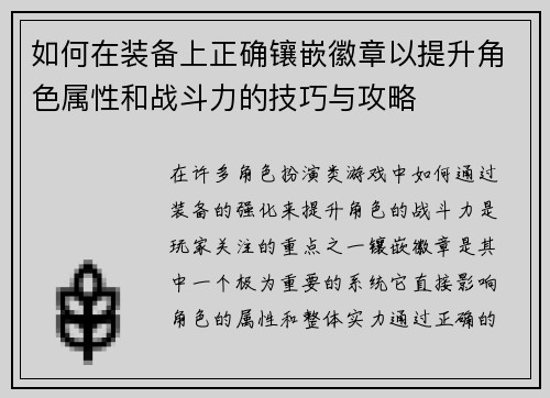 如何在装备上正确镶嵌徽章以提升角色属性和战斗力的技巧与攻略